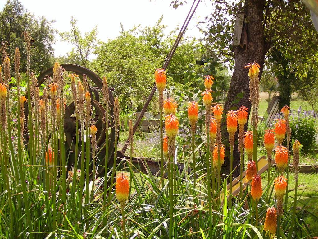 Au Grand Pré Bed and Breakfast Theillay Esterno foto